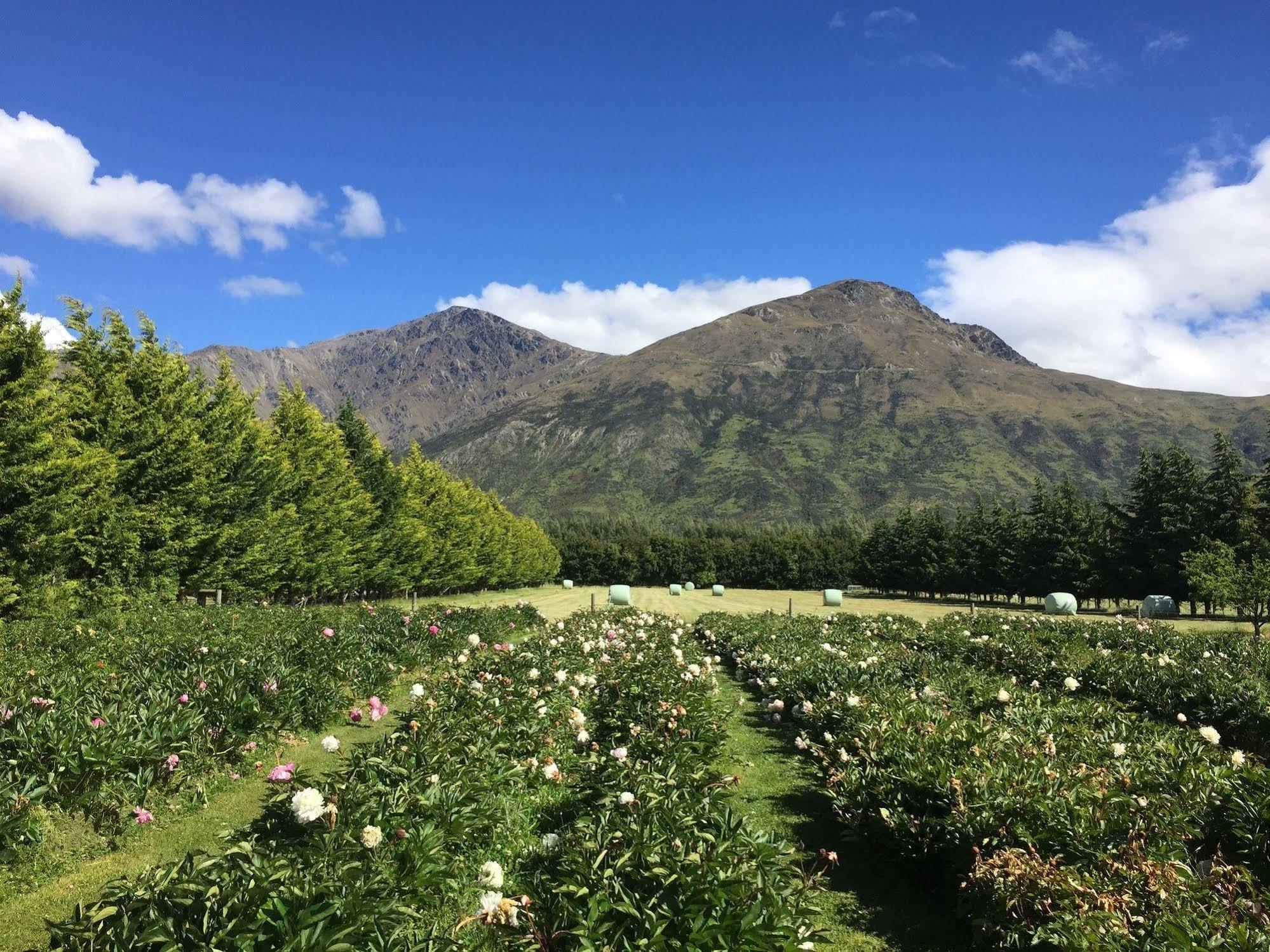 Queenstown Country Lodge Lake Hayes المظهر الخارجي الصورة